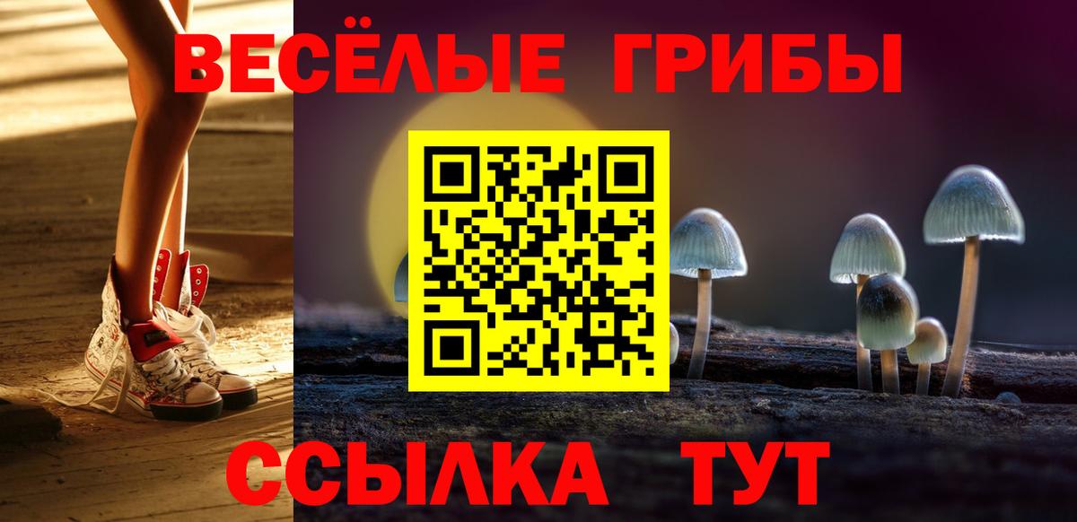 Псилоцибиновые грибы MAGIC MUSHROOMS Сургут